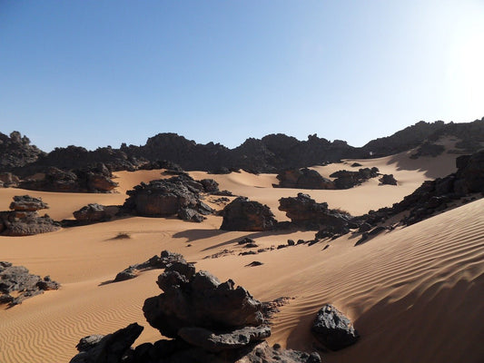 Hydroponics in Libya and Jordan: A Beacon of Hope in Arid Lands - Healthy Hydro