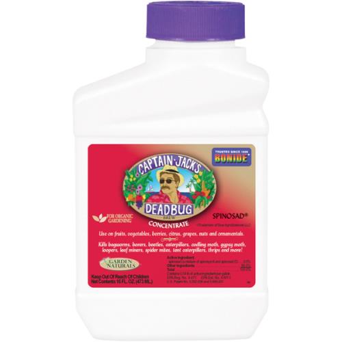 Bonide® Captain Jack's Deadbug Brew®