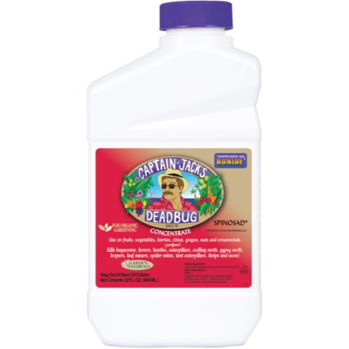 Bonide® Captain Jack's Deadbug Brew®
