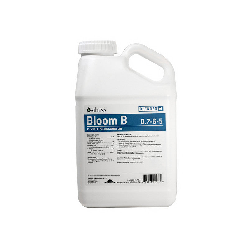 Athena-Bloom-B