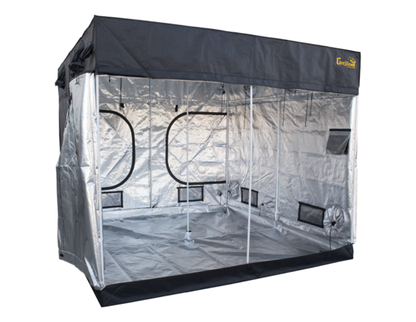 Lite Line 8x8