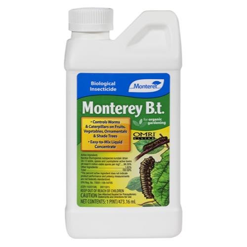 Monterey B.t. - Healthy Hydro