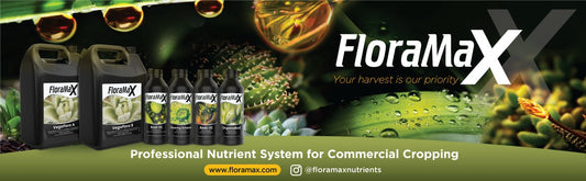 Simplicity with Your Crop: The FloraMax Advantage - Healthy Hydro
