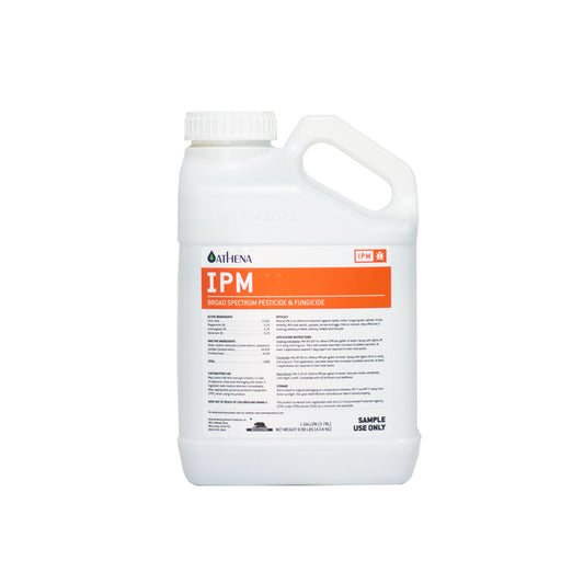 Athena-IPM-1-1