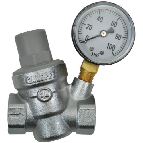 Dosatron Pressure Regulator w/ Gauge - 3/4 in (FPT x FPT) - Healthy Hydro