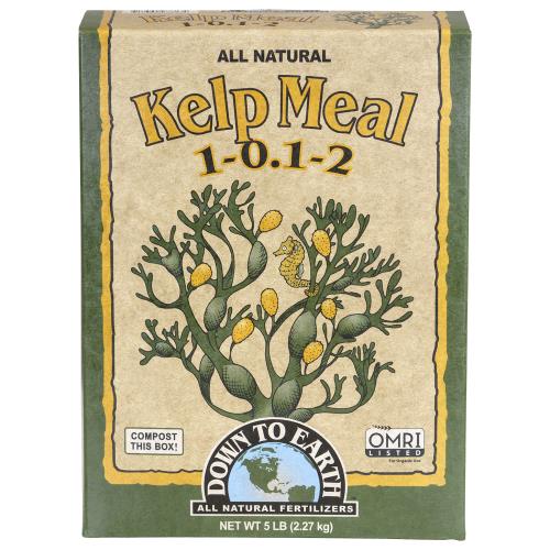 Down To Earth Kelp Meal 1 - 0.1 - 2 - Healthy Hydro