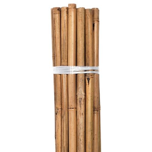 Grower's Edge® Natural Bamboo Stakes - Bulk - Healthy Hydro