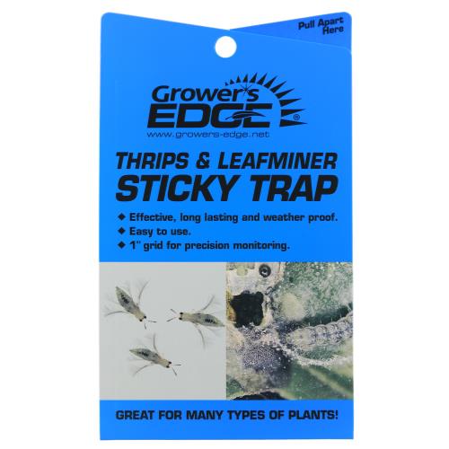 Grower's Edge Thrips & Leafminer Sticky Trap 5/Pack (80/Cs) - Healthy Hydro