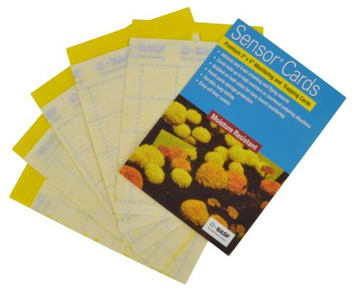 Sensor Cards Yellow Monitoring and Trapping Cards 50/Pack (15/Cs) - Healthy Hydro